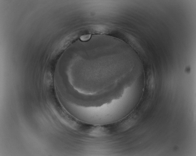 X0000116830459200912181438