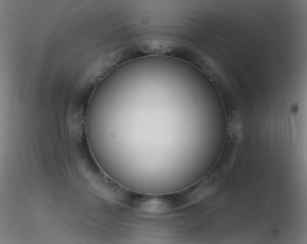 X0000116830460200912181438