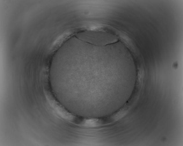 X0000116830461200912181438