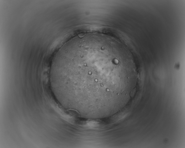 X0000116830462200912181438