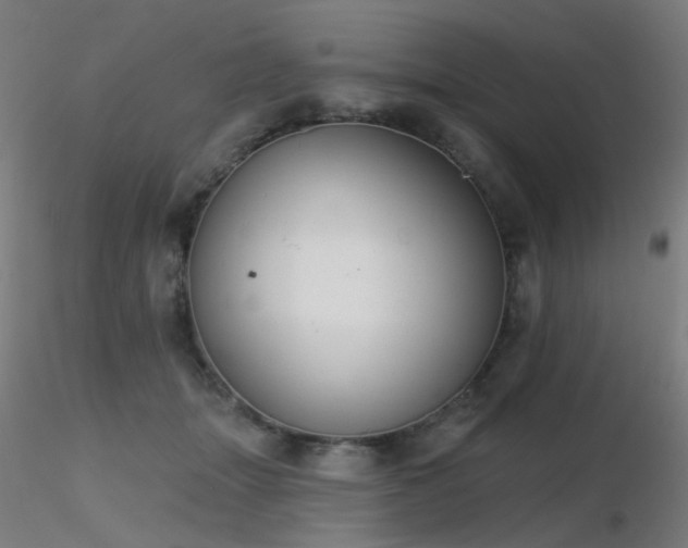 X0000116830463200912181438