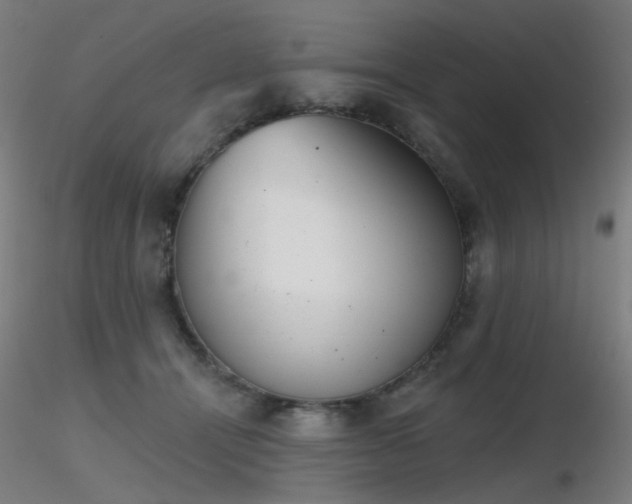X0000116830464200912181438
