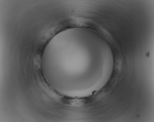 X0000116830465200912181438