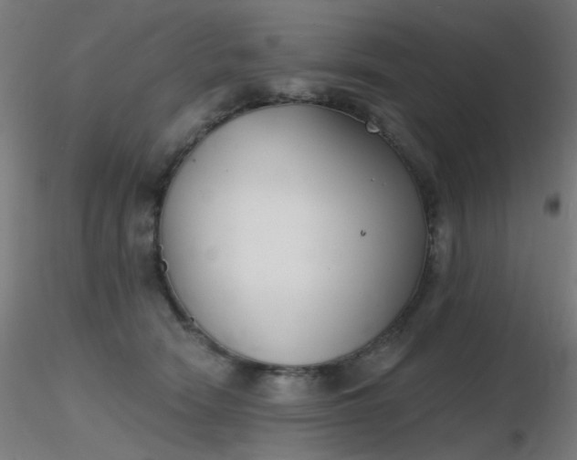 X0000116830466200912181438