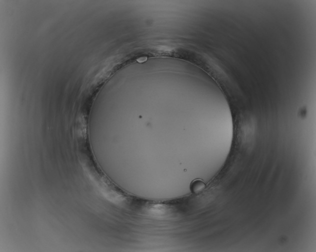 X0000116830467200912181438