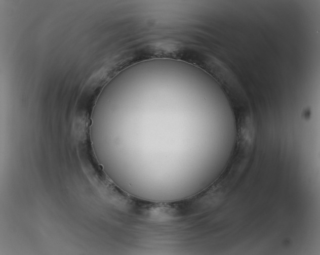 X0000116830468200912181438