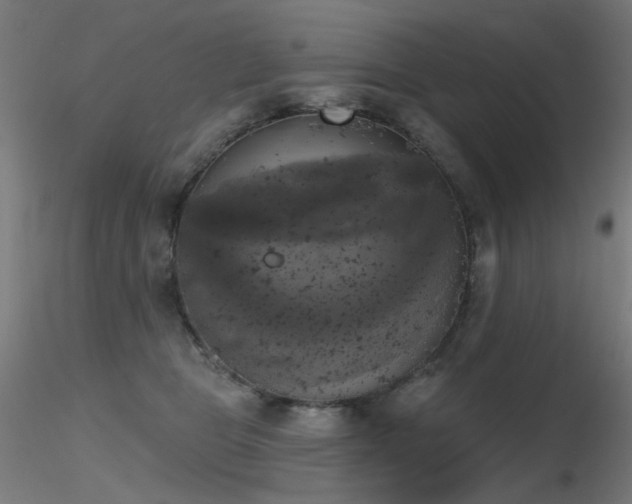X0000116830469200912181438
