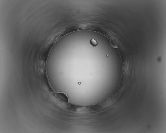 X0000116830470200912181438