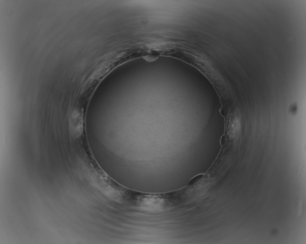 X0000116830471200912181438