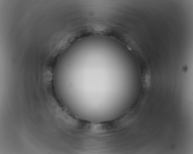 X0000116830472200912181438
