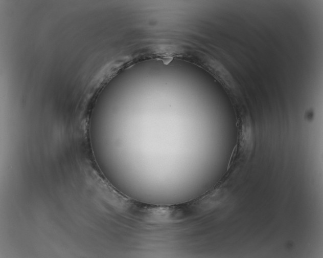 X0000116830473200912181438
