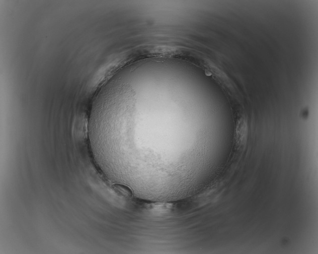 X0000116830474200912181438