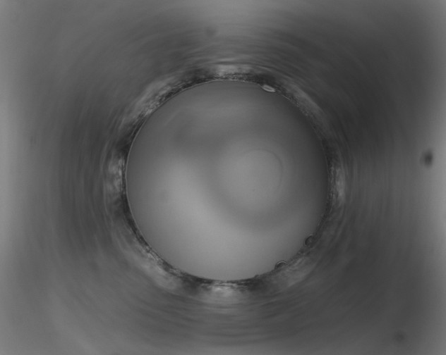 X0000116830475200912181438