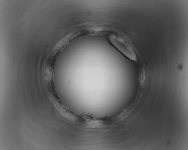 X0000116830476200912181438
