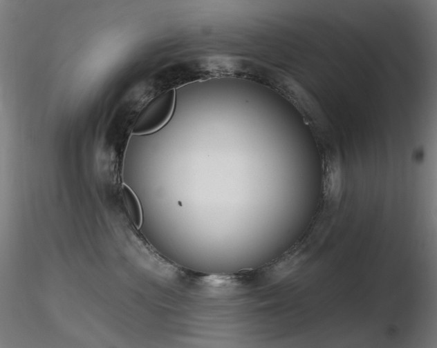X0000116830477200912181438