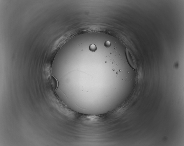 X0000116830478200912181438