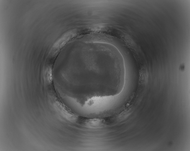 X0000116830479200912181438