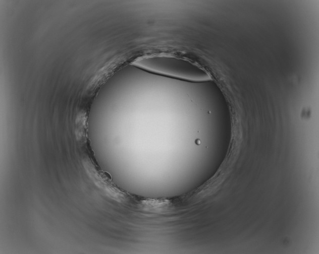 X0000116830480200912181438