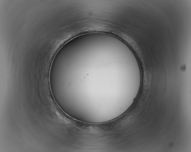 X0000116830481200912181437