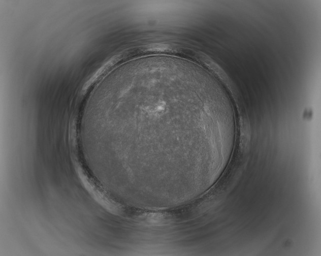 X0000116830482200912181437
