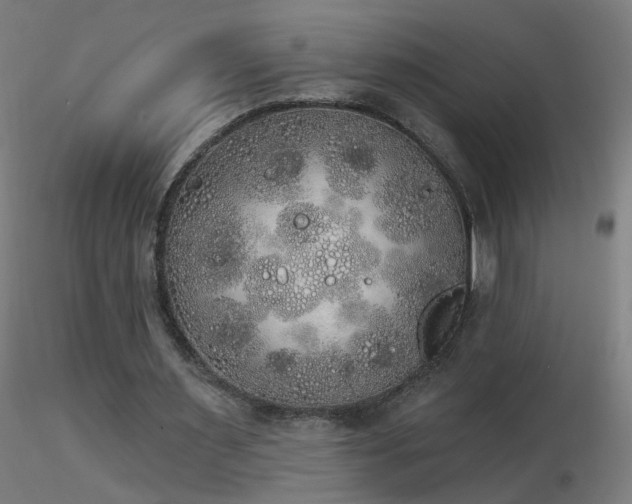 X0000116830483200912181437