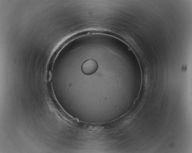 X0000116830484200912181437