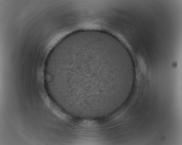 X0000116830487200912181437