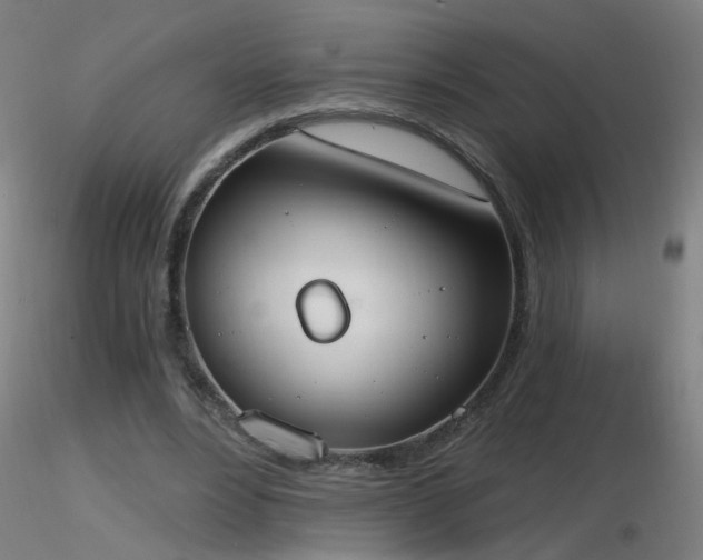 X0000116830488200912181437