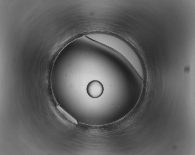 X0000116830489200912181437