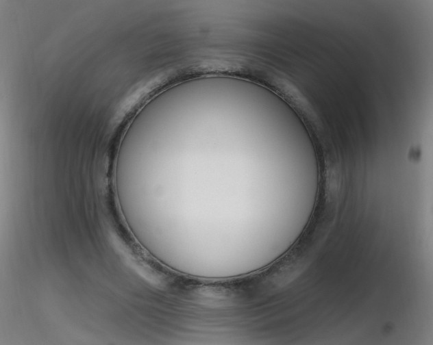 X0000116830490200912181437