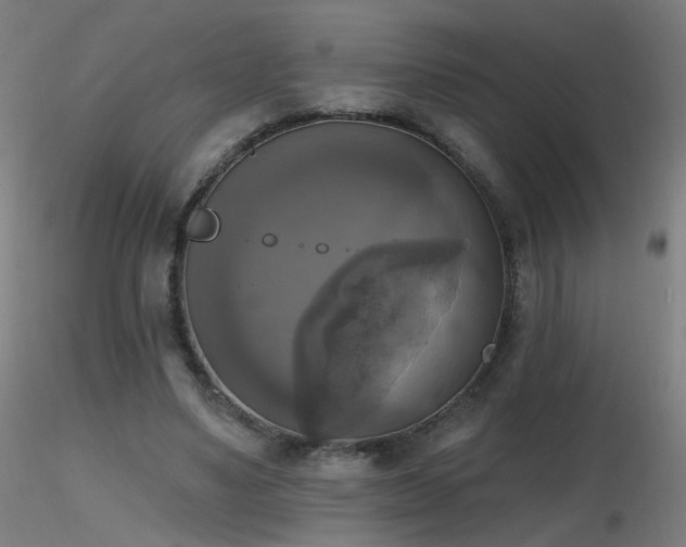 X0000116830491200912181437