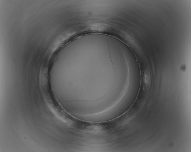 X0000116830492200912181437