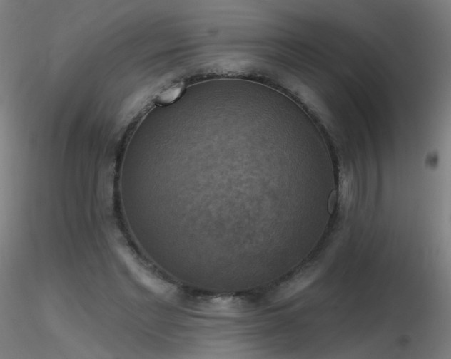 X0000116830493200912181437