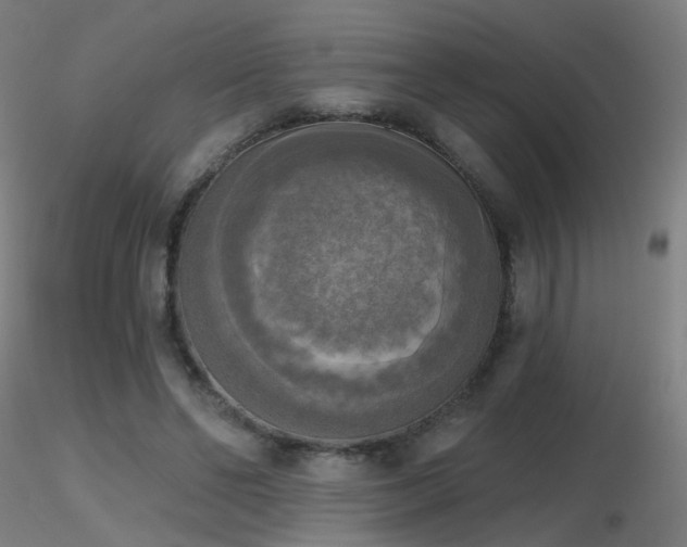 X0000116830494200912181437