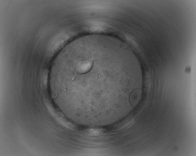X0000116830495200912181437