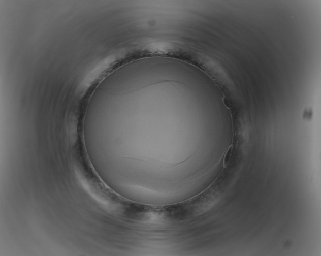 X0000116830496200912181437