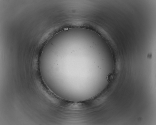 X0000116830497200912181437