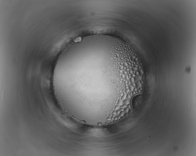 X0000116830499200912181437