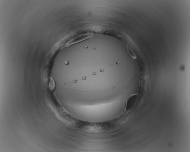 X0000116830500200912181437