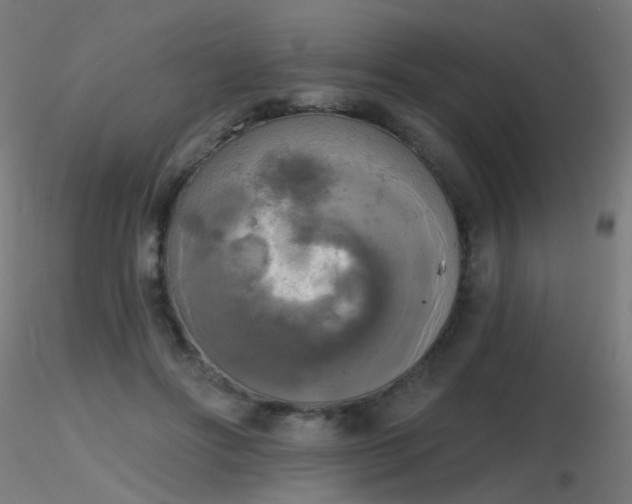 X0000116830502200912181437