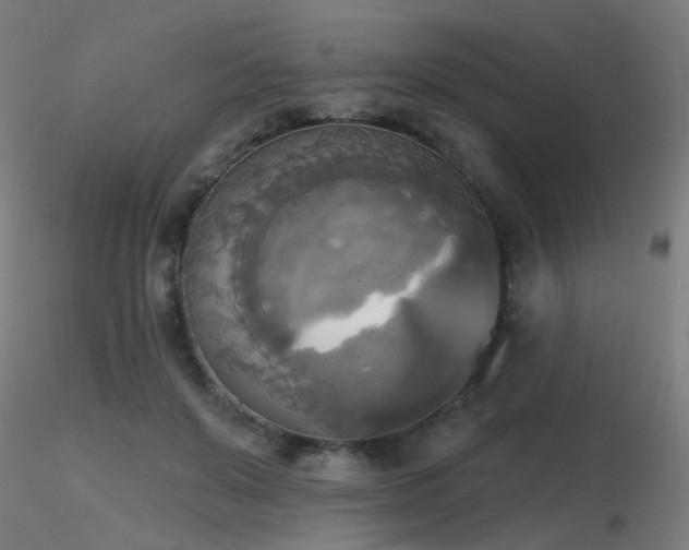 X0000116830503200912181437