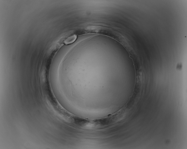 X0000116830504200912181437