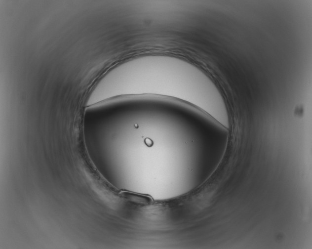 X0000116830505200912181437
