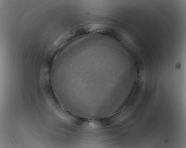 X0000116830506200912181437