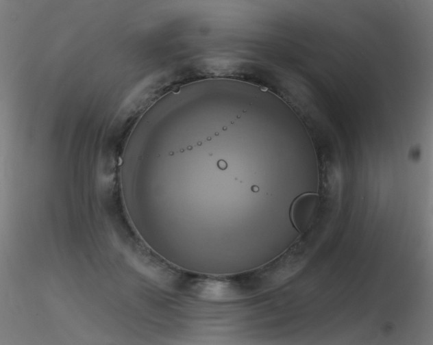 X0000116830507200912181437