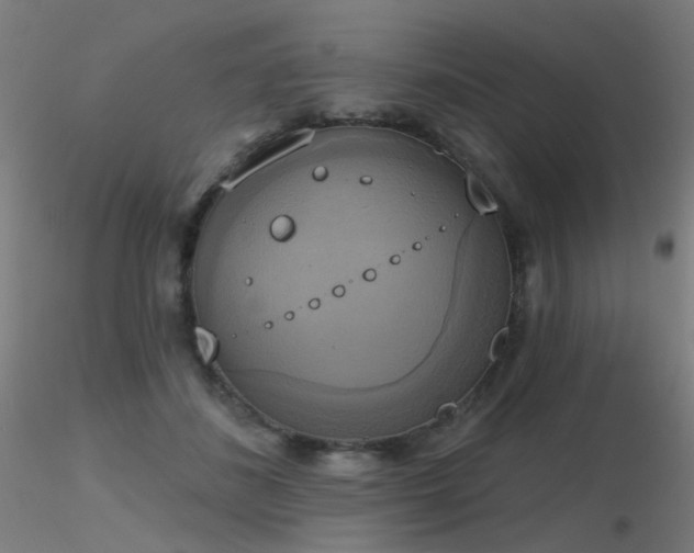 X0000116830508200912181437