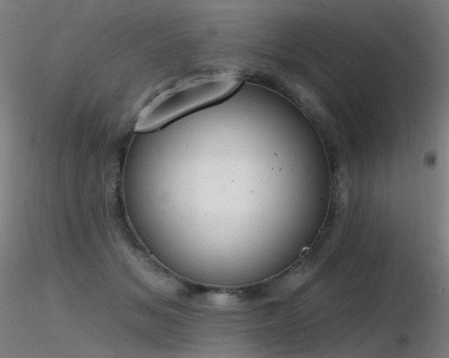 X0000116830509200912181437