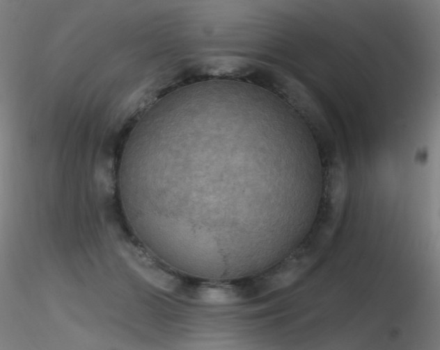 X0000116830510200912181437