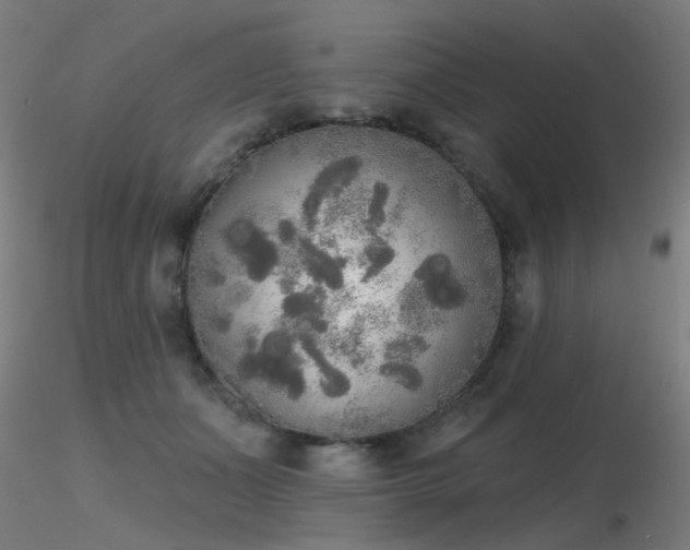 X0000116830511200912181437