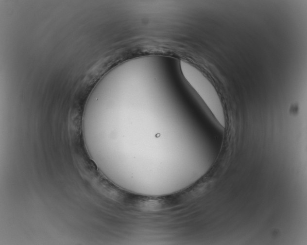X0000116830513200912181437